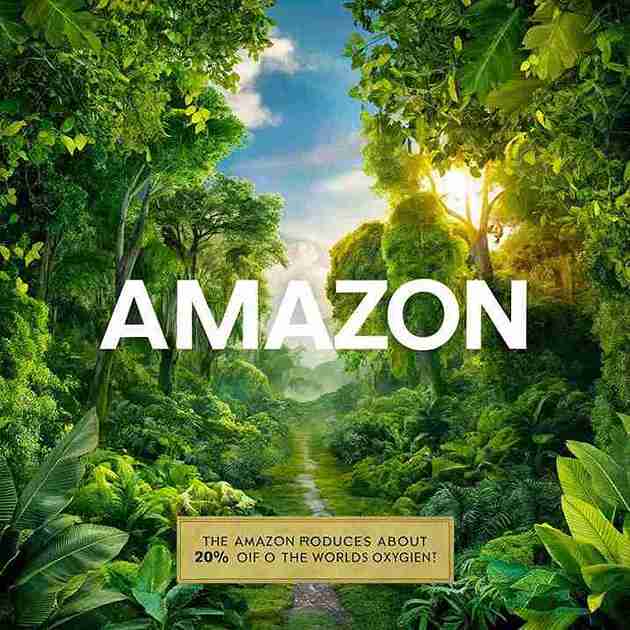 Amazon rainforest