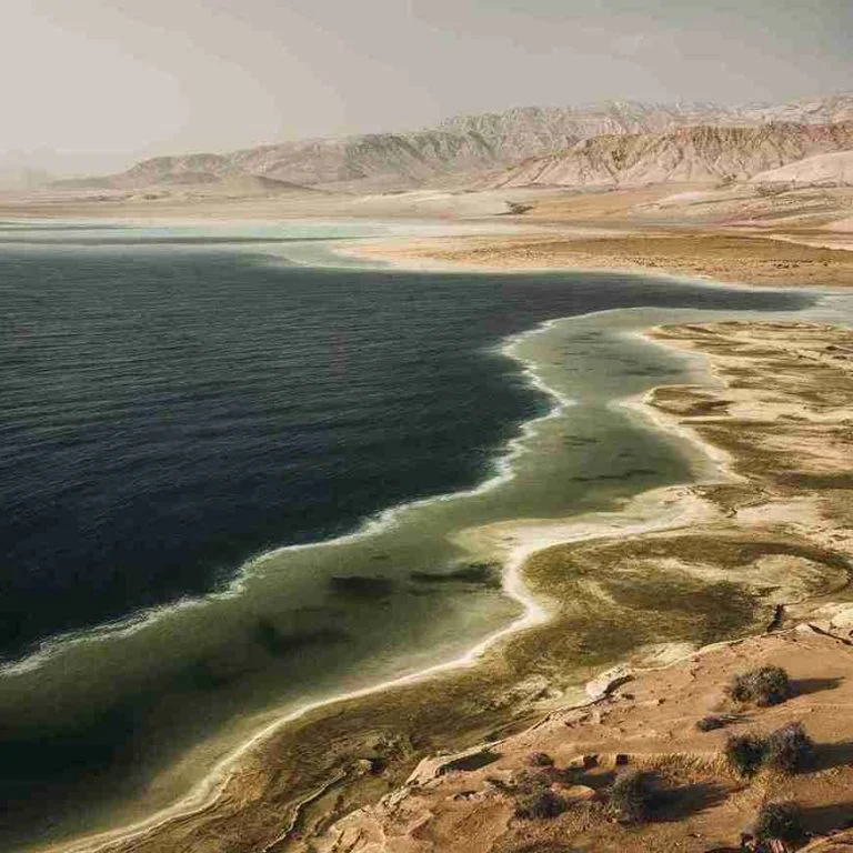 The Dead Sea