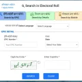 voter name